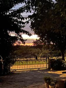 CASA Tiz & Tia - Beautiful old 3* stone house near Visnjan 