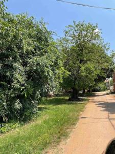 CASA Tiz & Tia - Beautiful old 3* stone house near Visnjan 