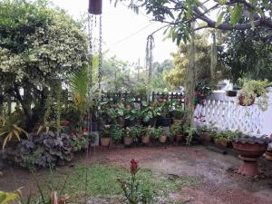 Ralph recedency