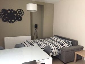 Appartements Bel appart au bord de l’eau proche gare avec wifi : photos des chambres