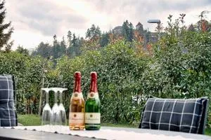 Ferienwohnung Schlossblick - 洛费瑙