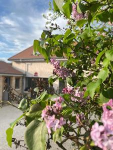 Maisons de vacances Chez l’Jules et la Marguerite : photos des chambres