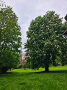 B&B / Chambres d'hotes Demeure du Saule Madame : photos des chambres