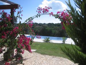 GARBE - Private Villa,Total Privacy, Infinity Swimming Pool, Close to Beaches