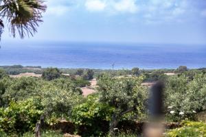 Villa Dune di Scivu img16