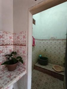 IjenBromo Hub Homestay