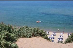 Villa Dune di Scivu img2