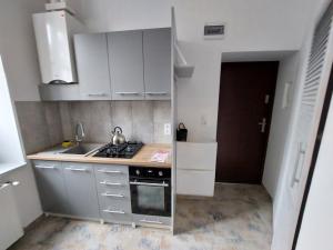 Apartament Kamienna Gora