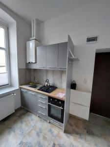 Apartament Kamienna Gora