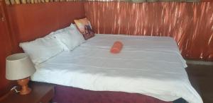 Paradise Camp Rooms