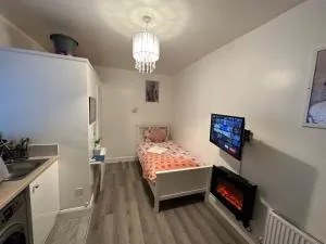 De lick strawberry studio - 埃德蒙顿