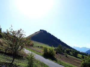 Chalets Chalet familial 2*, proche pistes et centre, terrasse sud, vue montagnes - FR-1-618-10 : photos des chambres
