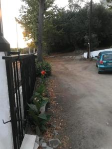 Sofys House
