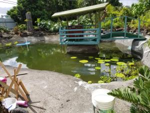 Fully renovated 4 bd with 2 master suits, 3 bth home in centralized location