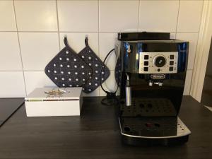 Traumhafte Etagenwohnung in Günderzeitvilla