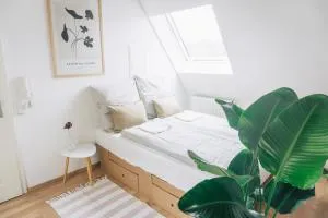 raum life - Refugium über Dächer - Kirchroth