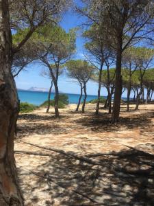 Villa Nadia con piscina privata Budoni img28