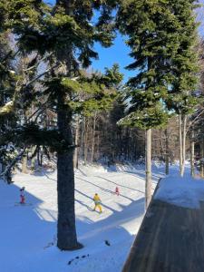 Apartment on the ski slope Pohorje 11 