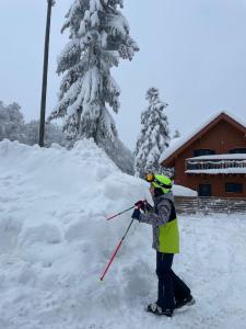 Apartment on the ski slope Pohorje 11 