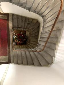 Maison de Maître avec grande terrasse au Centre-Ville