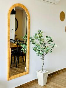 Departamento en Nuevo Altata