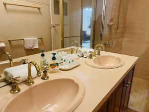 Family Living big house in Balwyn central