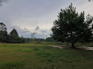 Hermosa finca a 5 minutos aeropuerto