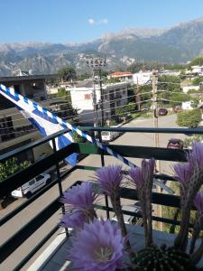 Hellas Palace Rooms CENTER