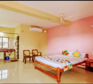 vyana holiday home - Pernem