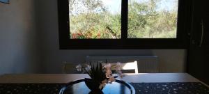 LIOFYTO - Stylish Villa with views to Foinikounda bay downstairs studio