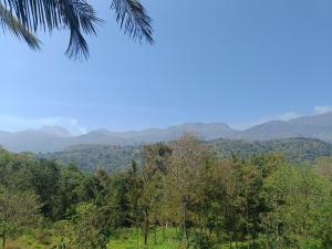 Paradise Homestays, Kanthalloor