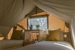 Ca Stella Camping del Monte San Giorgio