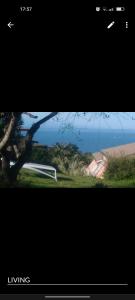 Via Romagna 6 P6091 img6