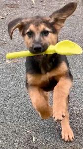 Gite la Guérinière, studio entre océan et campagne !