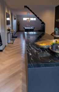 Luxury home Egmond