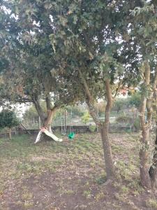 El rinconcito de Aldán