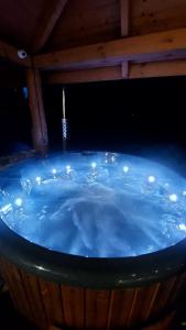 Villa Natura Zator Przeciszów