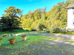 2 Bed in Eskdale SZ346