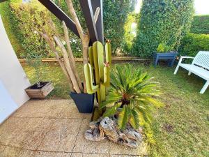 Appartements Saint Palais sur Mer - VILLA MITOYENNE - HAUTS de ST PALAIS - PISCINE : photos des chambres