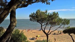Appartements Saint Palais sur Mer - VILLA MITOYENNE - HAUTS de ST PALAIS - PISCINE : Maisonnette