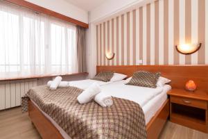 Superior Double or Twin Room room in Hotel Neboder