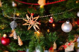 Pet Friendly Family Home In Brisbane - Relocations and Family Stays - Fast Internet - Parking - Netflix