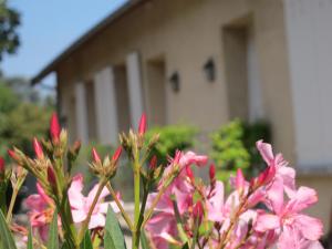 Appartements Les Communs du Manoir : photos des chambres