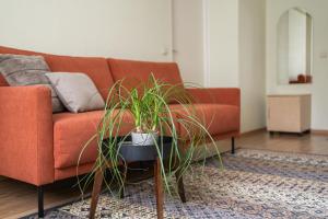 Superior Double Room room in Virumaa Hostel