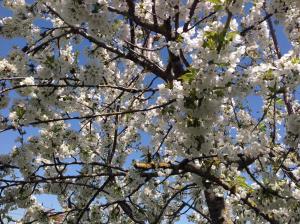 ΕΞΟΧΙΚΗ ΚΑΤΟΙΚΙΑ ΕΥΑΓΓΕΛΙΑ