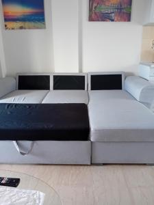 Amazing Loft Skyview