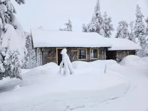 Hilltop Villa at Lake Porontima - Suorajärvi