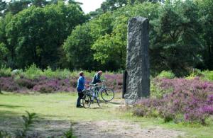 Tiny House de Berken