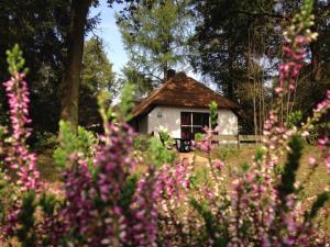 Tiny House de Berken