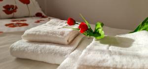 Rooftop Panorama Apartment